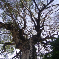 imag0255.jpg