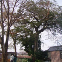 imag0231.jpg