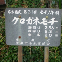 imag0232.jpg
