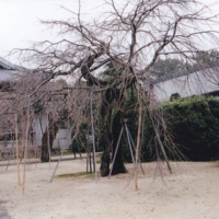 907d100.jpg